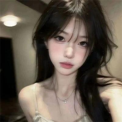 老鹰舰队