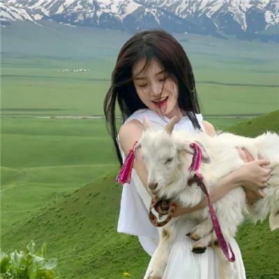 伊娜：初生之犊